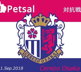 ペットサル 対抗戦 2018 セレッソ大阪サポーター戦 (2018.9.1 v.s  Cerezo OSAKA fans)